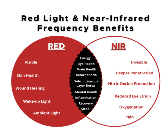 Thera Tri-Light Red Light Panel | Therasage - Image 3