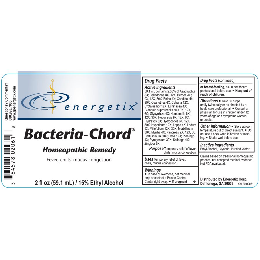 Bacteria-Chord | Energetix - Image 2