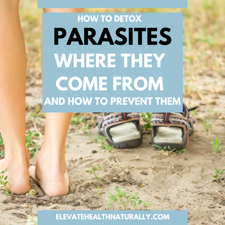 Why You Should Detox From Parasites
