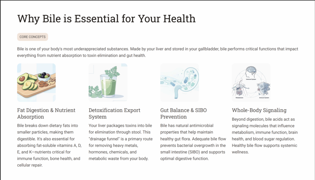 why bile is essential for health