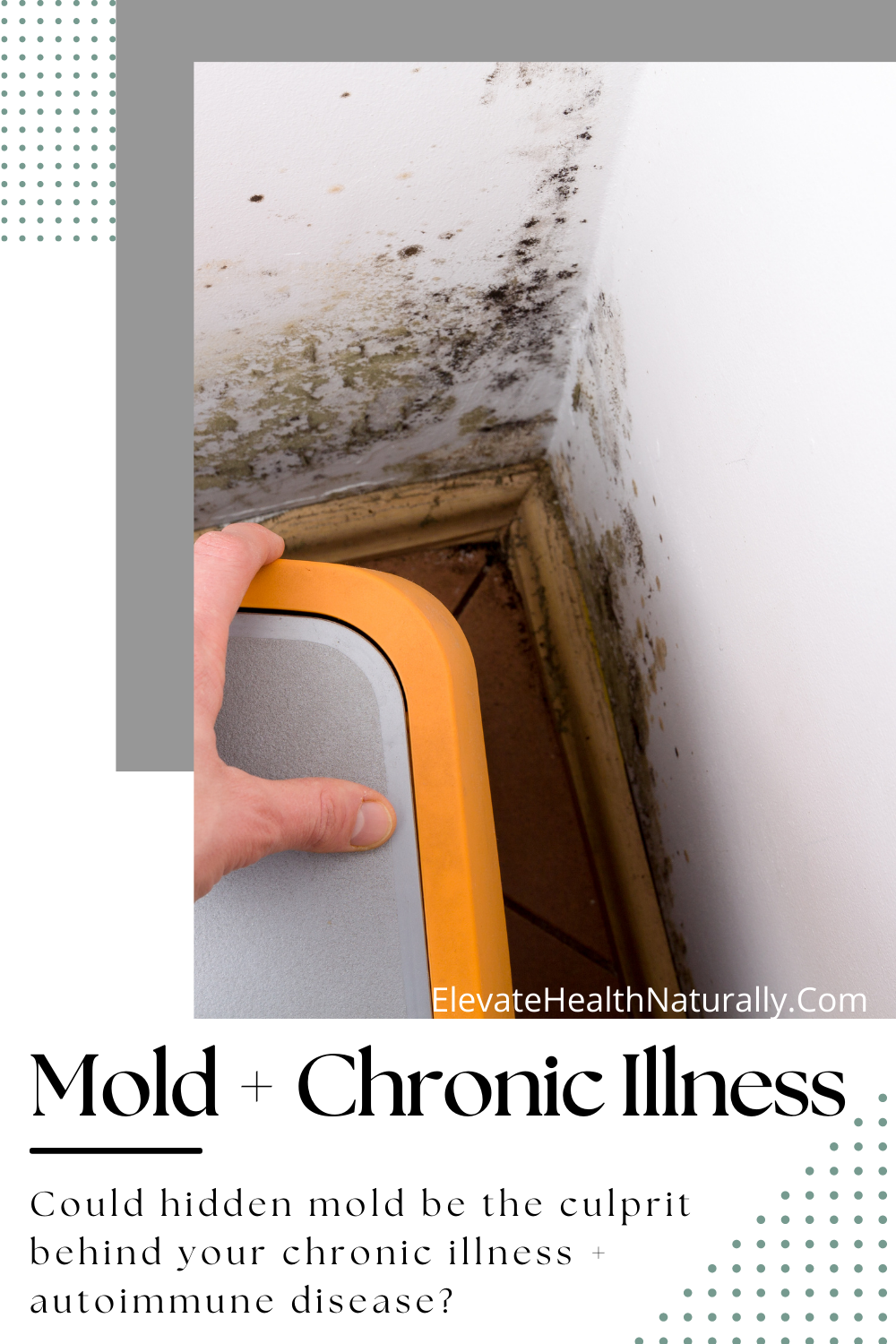 10 Warning Signs of Mold Toxicity