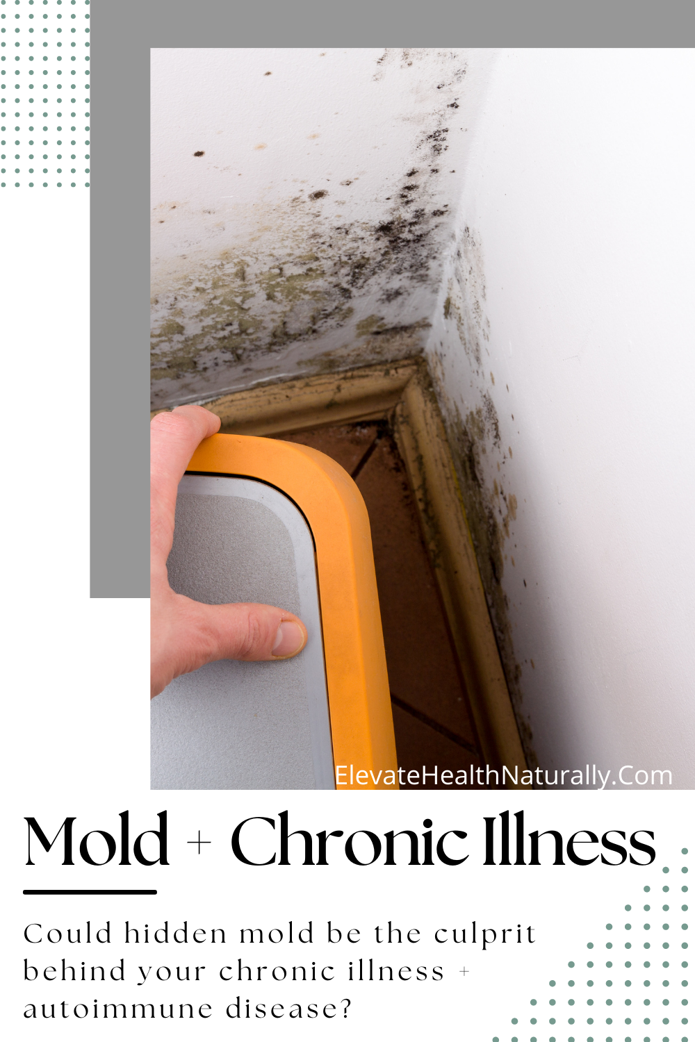 mold ingestion