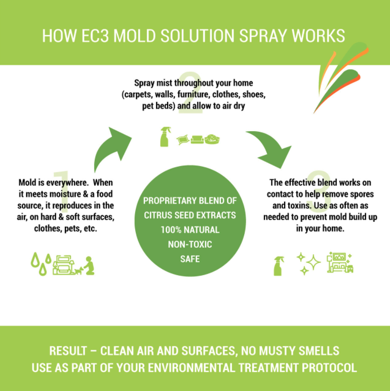 EC3 Air Purifying Candles - 3 Pack - Reduces Mould and Mycotoxin