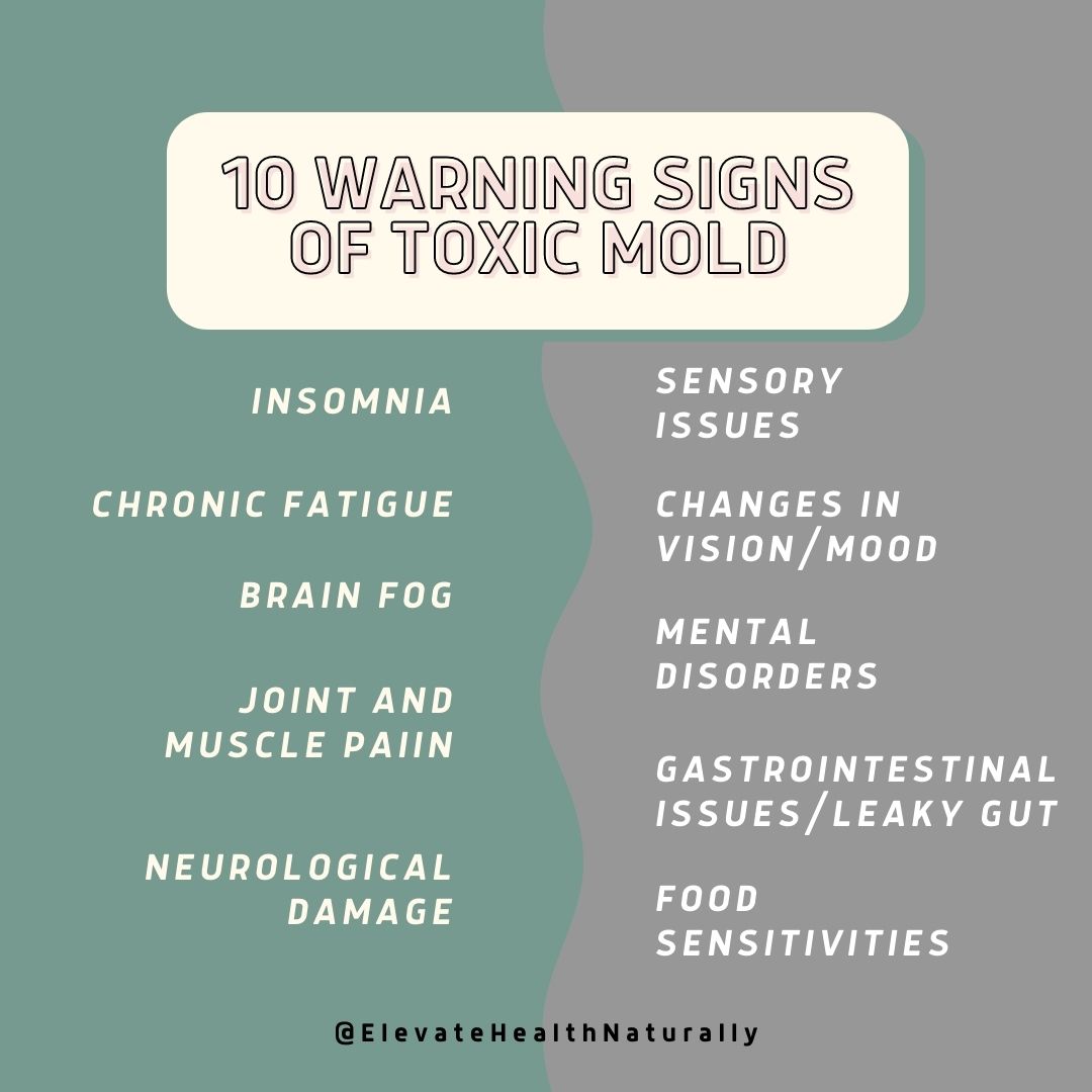 10-warning-signs-of-mold-toxicity-in-toddlers-classi-air-purifier